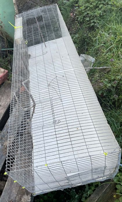 Tenho uma gaiola para vender