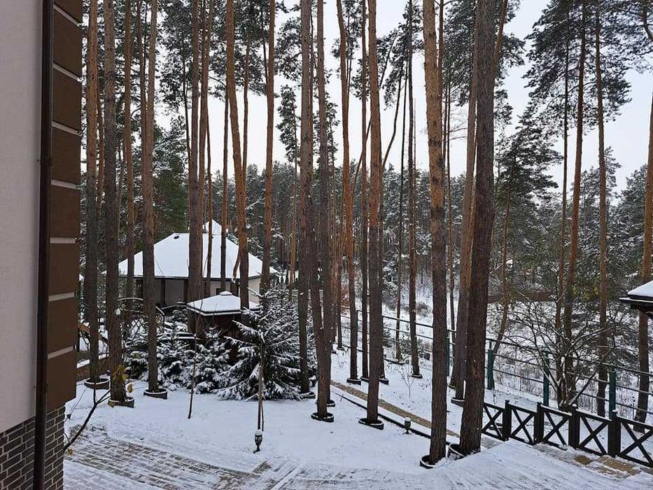 Продаж елітного маєтку