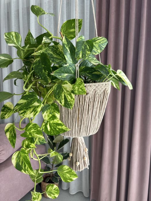 Kwietnik wiszacy koszyk korale koszyczek makrama