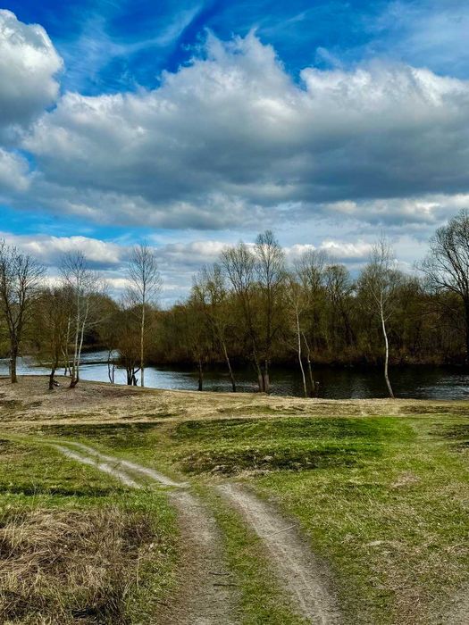 Красивий будинок з РЕМОНТОМ! ЯМАЛ! 100м до р.Снов! A11