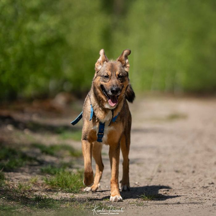 Od 4 lat Kirze nikt nie dał szansy...