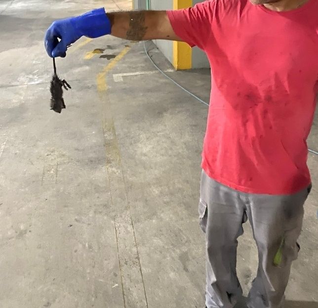 Zé desentop ,  Desentupimento  / Controlo de pragas