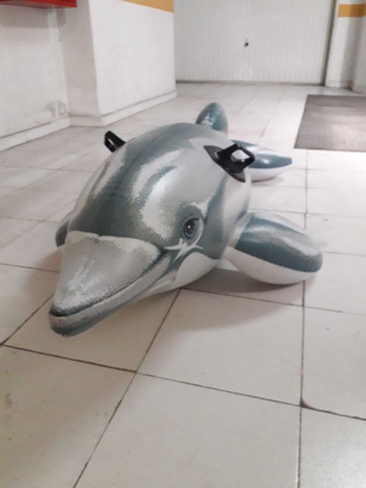 Boia insuflavel golfinho