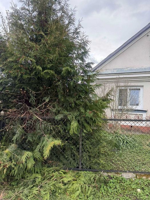Продаж будинку у Кременці