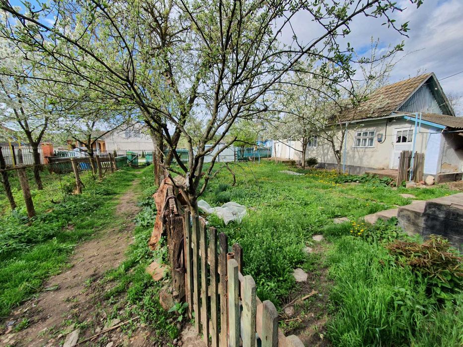 Продам будинок Сокиряни (с.Волошкове, біля р.Дністер)