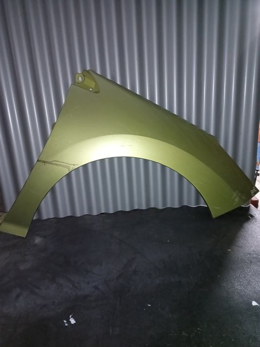 Guarda Lamas Peugeot 308 I DIREITO  Verde Claro