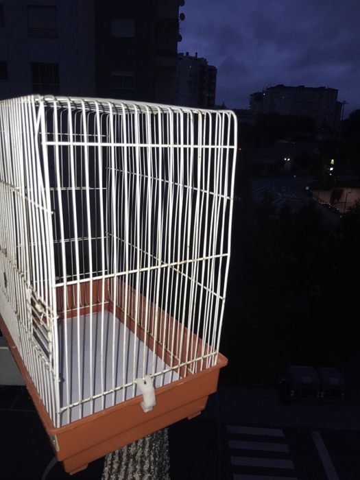 Gaiolas para passaros