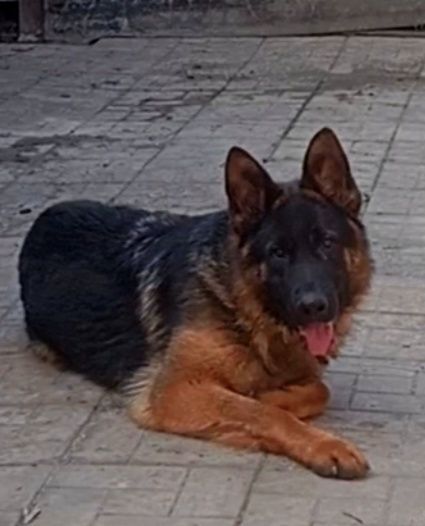 Роскошные длинники.