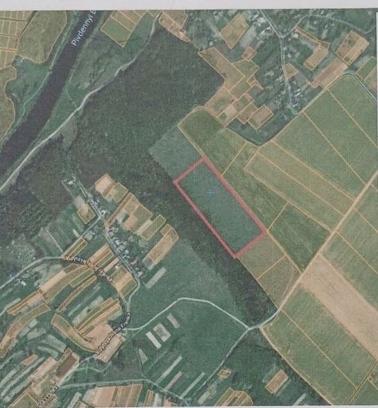 Фото ділянки