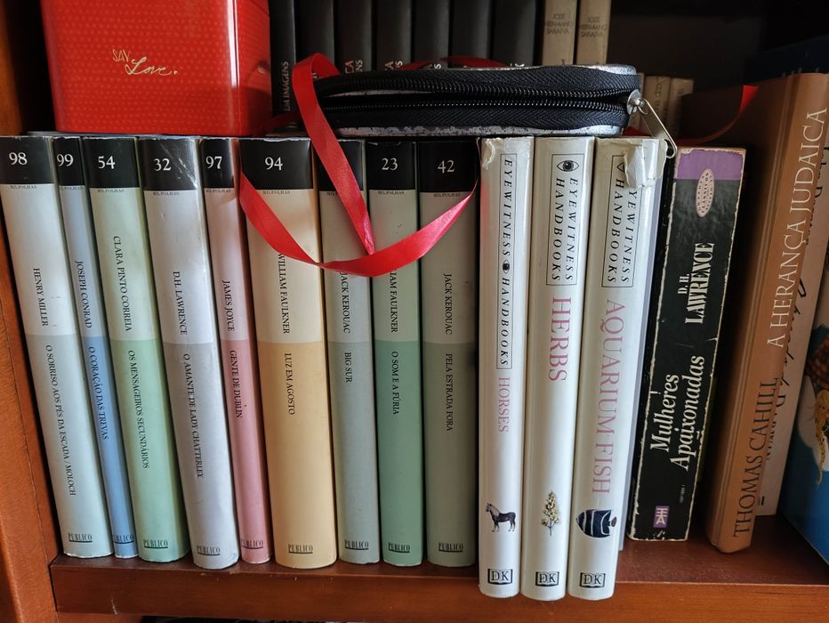 Livros Ken Follett, modignani, mia couto, wiggins Clark, Jung chang