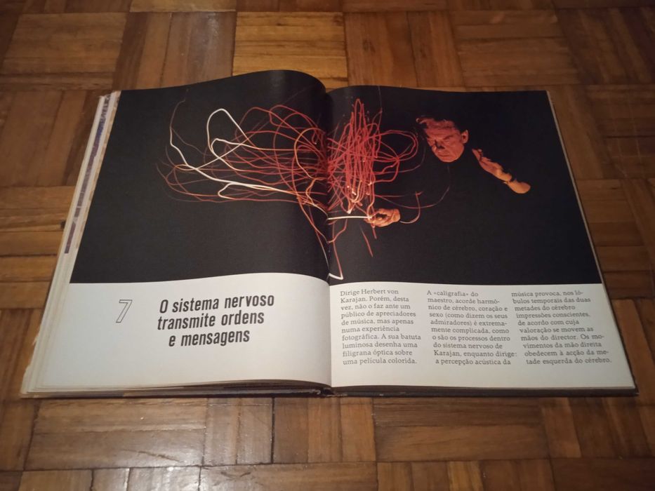 O Homem, seu corpo e seu espírito - Markus Plessner