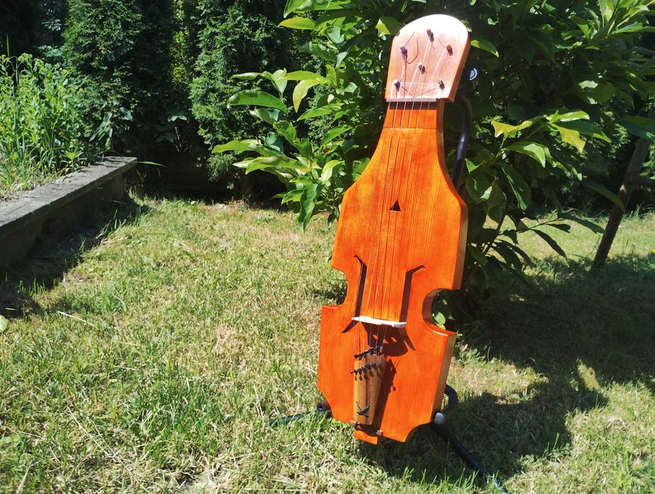 Fidel Płocka instrument smyczkowy polski