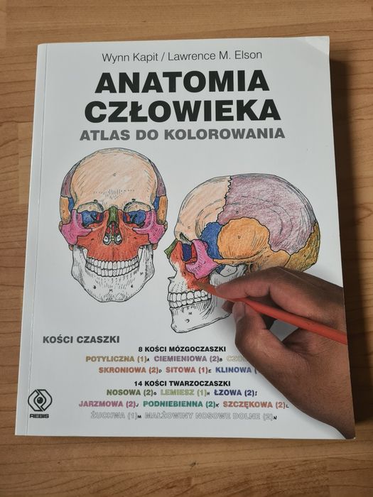 Anatomia człowieka do kolorowania
