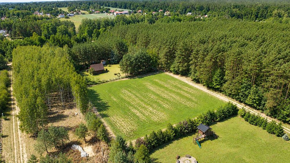 Działka budowlana 3000 m² przy lesie - Anielin Swędowski, gm. Stryków