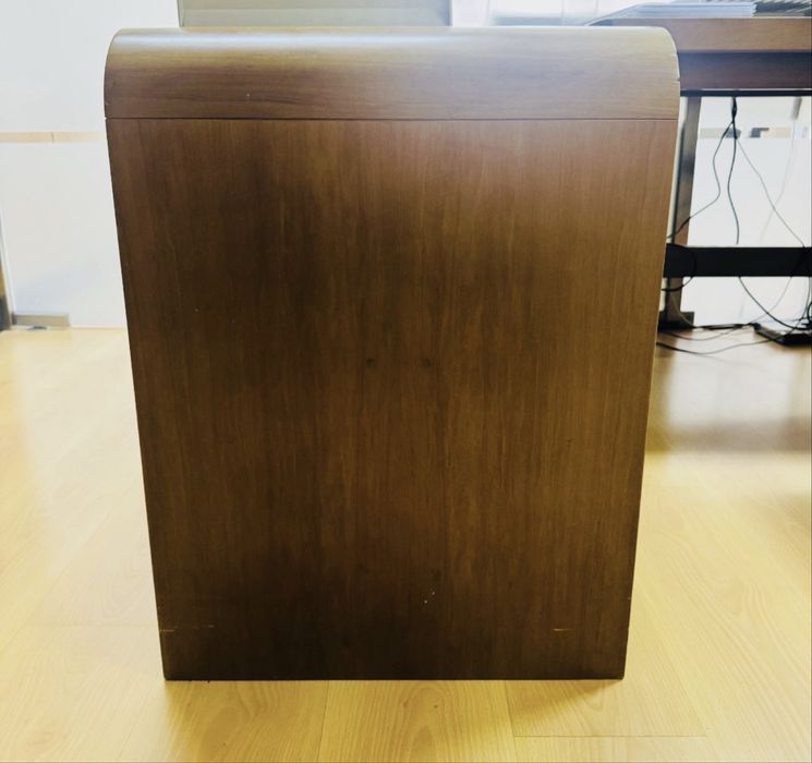 Aparador / Credenza de Escritório em Madeira – Design Executivo com Grande Arrumação