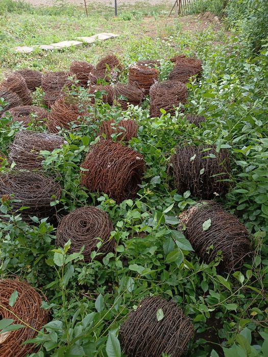 Колючая проволока