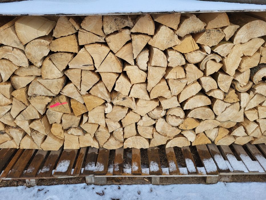 Drewno drzewo opałowe kominkowe