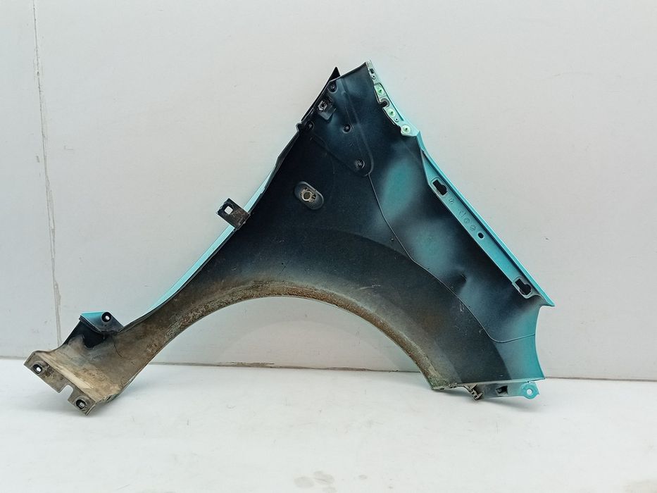 Guarda-lamas esquerdo RENAULT Twingo II (CN0_)