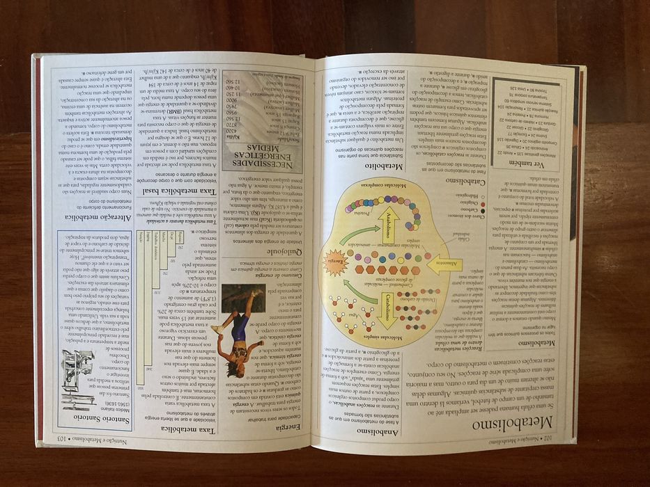 Dicionário escolar do corpo humano