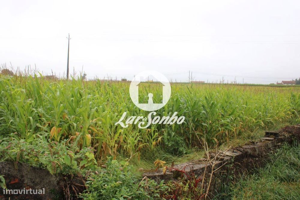 Terreno inserido em zona de construção