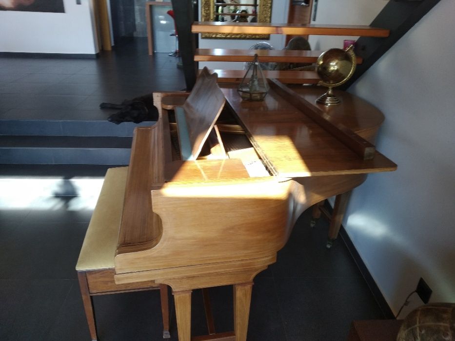 Piano de cauda Extremamente Raro