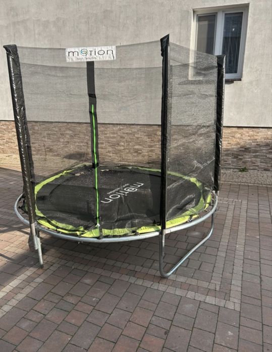 Trampolina 244 cm z drabinką