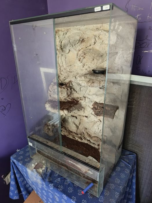 Terrarium 50x35x80 – solidne, z tylną ścianką