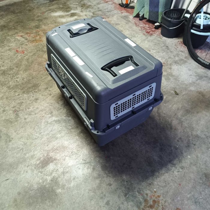 Transportadora animais