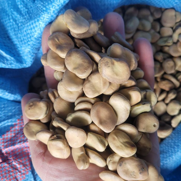 Bób 5kg Bizon SUPER JAKOŚĆ