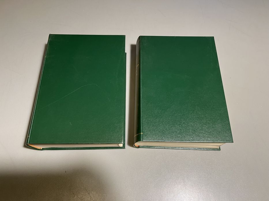 Coleção 2 Livros - Dicionário geral Luso-Brasileira da língua portuguesa