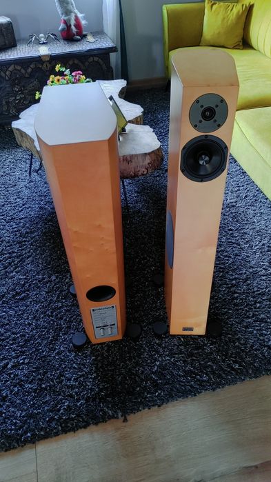 Audio Physic Tempo 6