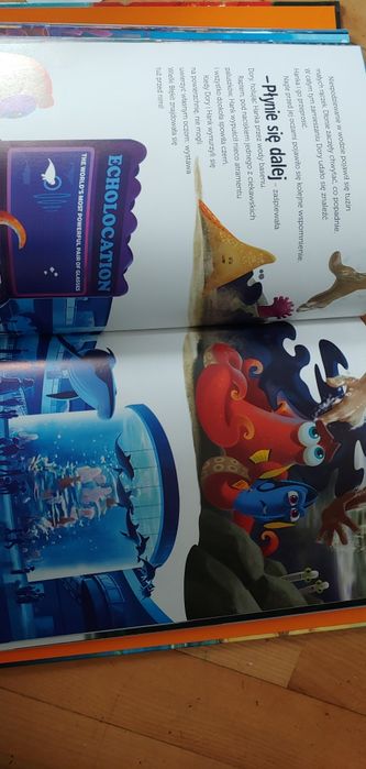 Gdzie jest Dory ? Nowa