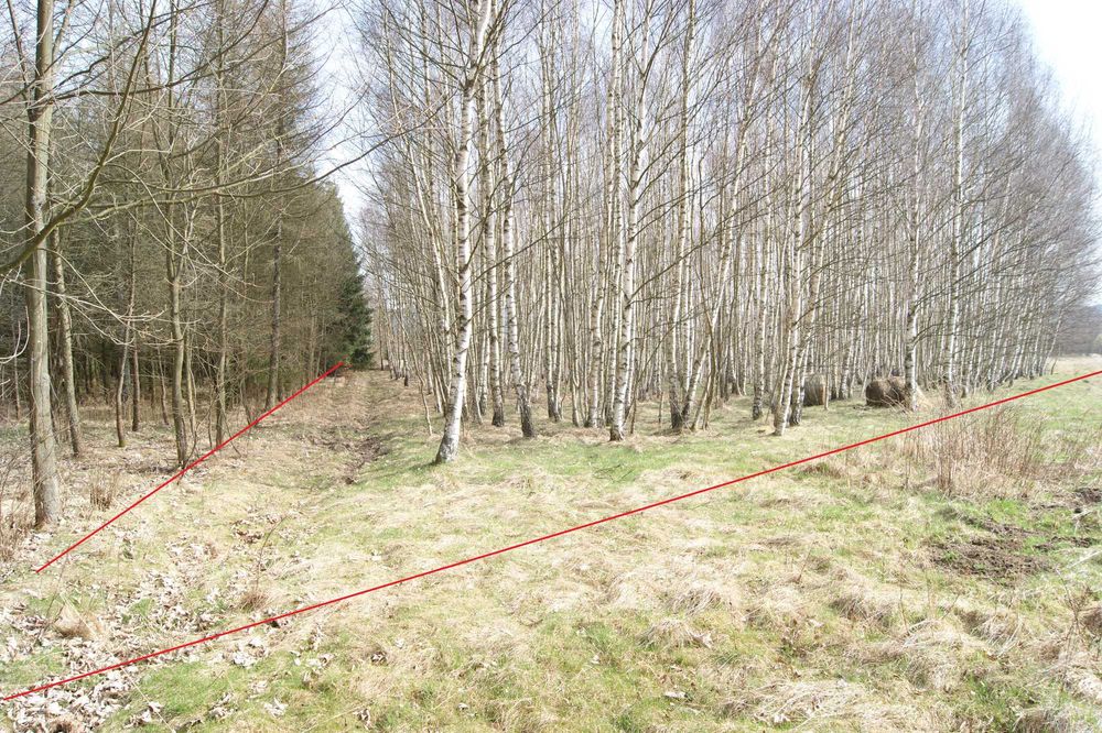 Działka 1,9 ha, z warunkami zabudowy Krzeszów - Więcej