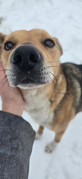 Będę twoim najlepszym przyjacielem