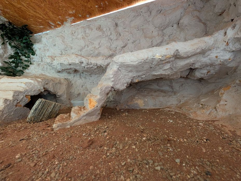 Duże terrarium dla gada