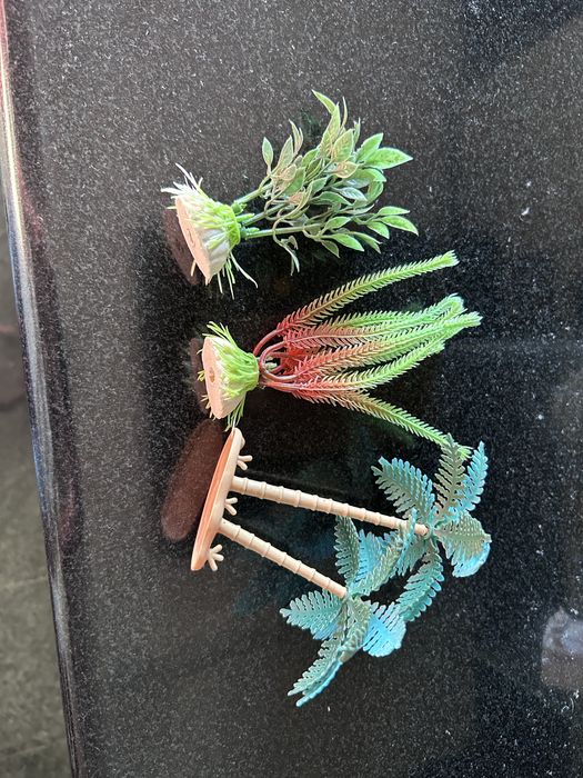 Plantas para Aquário