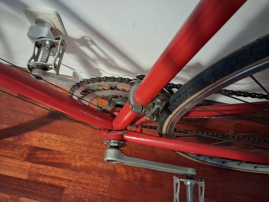Bicicleta adulto