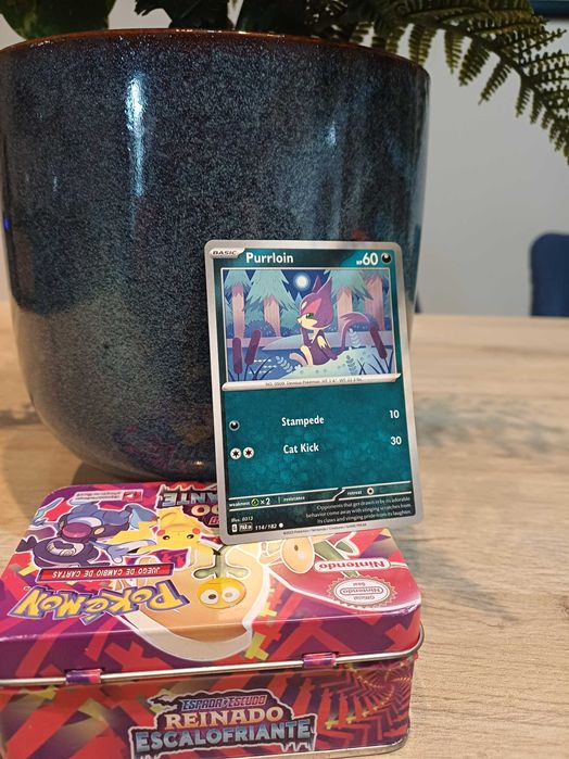 Carta Pokémon Purrloin #114