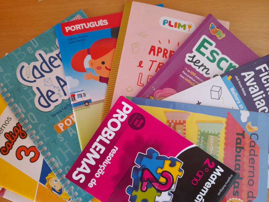 Livros de apoio 1° ciclo - conjunto