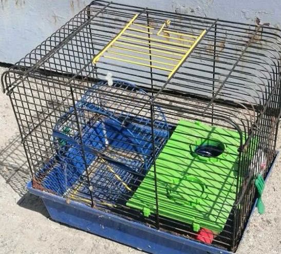 Клітка для хомʼяка