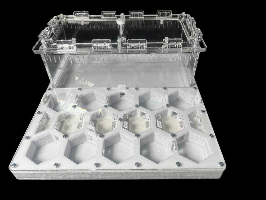 Мурашина ферма мурахи муравьи муравьиная ферма формикарий соти