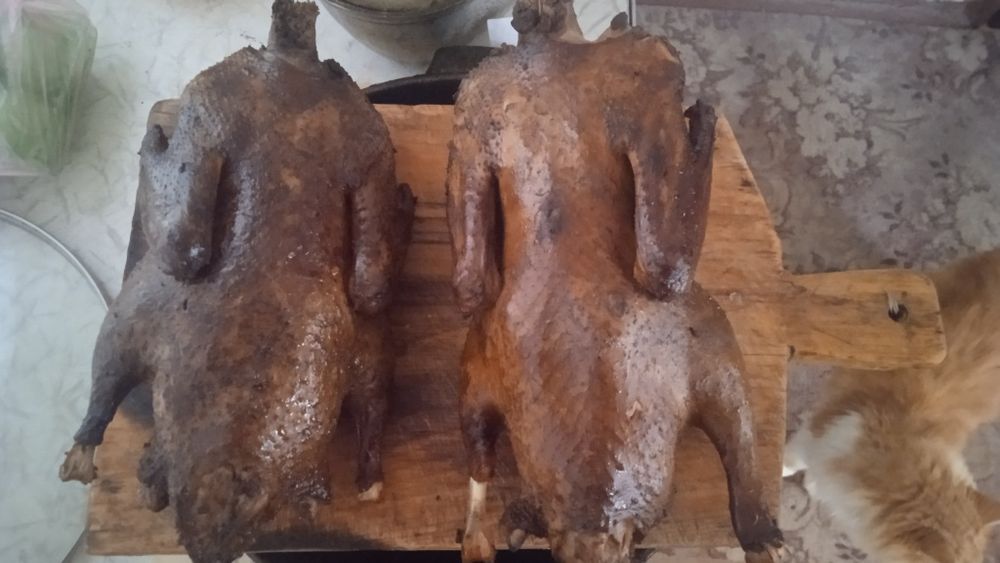 Криворізька коптильня з гідрозатвором