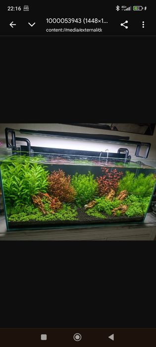 Led aquário Week Aqua serie V 600 se-k