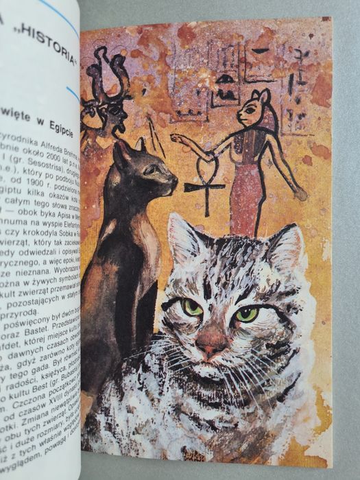 Persy, syjamy i dachowce - Książka