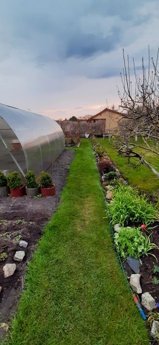 Sprzedam działkę  ROD