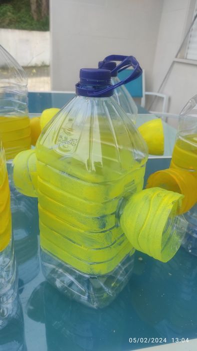 Vespa asiática / Vespa velutina