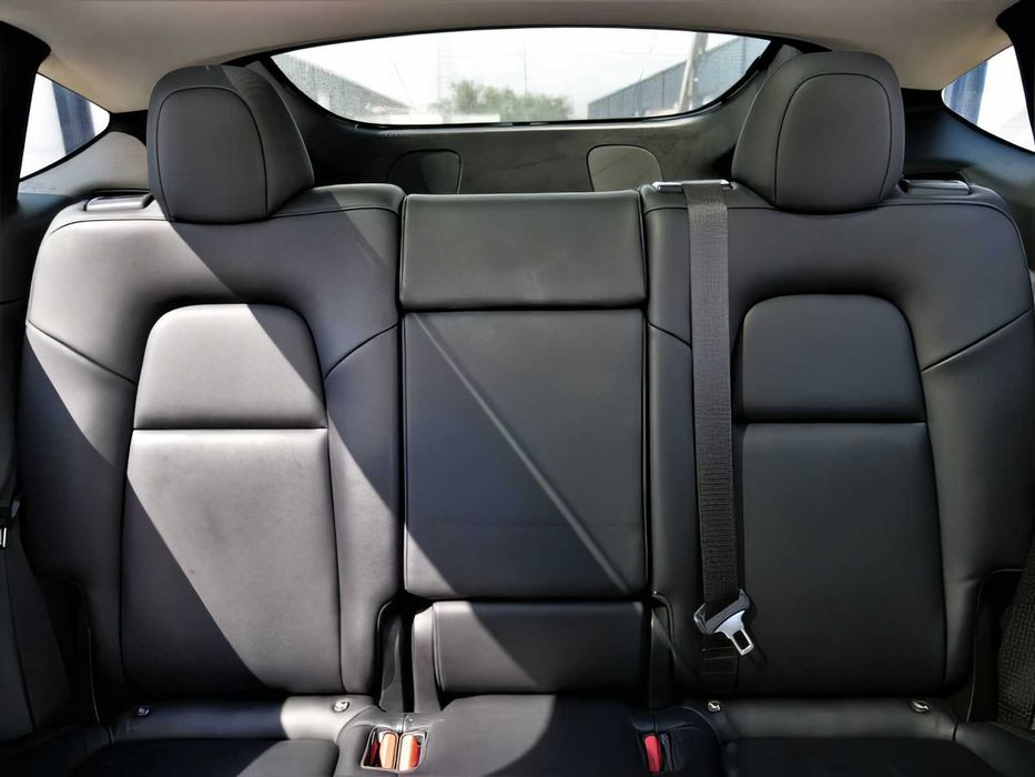 Tesla Model Y Performance      2021