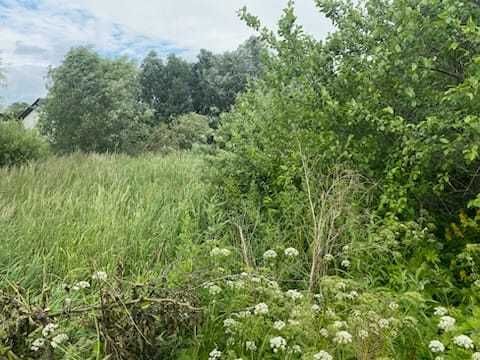 Sprzedam działkę 10 arową w Myśliborzu