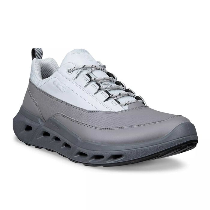 Мужские Кроссовки ECCO BIOM 720 M