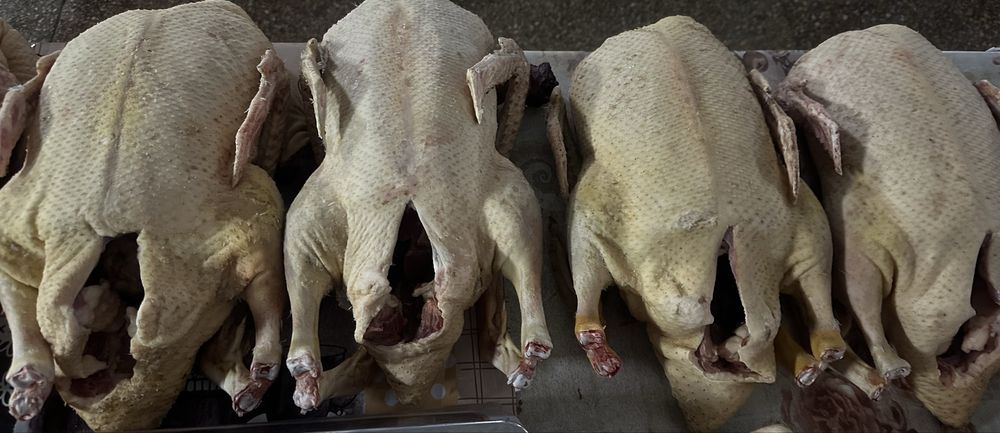 Качка мулард утка мʼясо